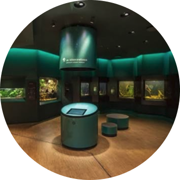 Löbbecke Museum